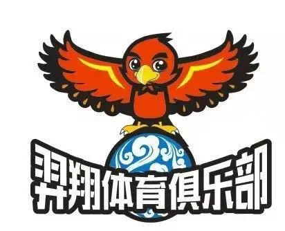 篮球训练技术动作视频下载教程_1